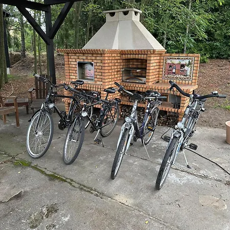 Daire Charmantes Mit Garten & Netflix Naehe Spreewald *